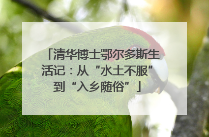 清华博士鄂尔多斯生活记：从“水土不服”到“入乡随俗”