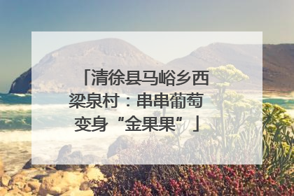 清徐县马峪乡西梁泉村：串串葡萄变身“金果果”