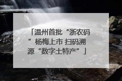 温州首批“浙农码”杨梅上市 扫码溯源“数字土特产”