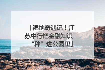 湿地奇遇记！江苏中行把金融知识“种”进公园里