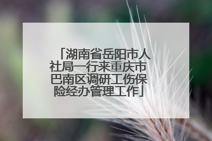 湖南省岳阳市人社局一行来重庆市巴南区调研工伤保险经办管理工作
