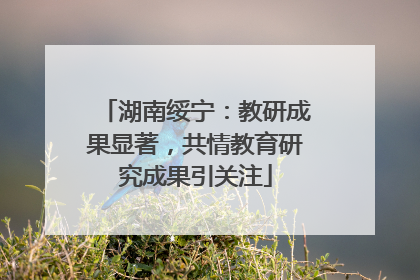 湖南绥宁：教研成果显著，共情教育研究成果引关注