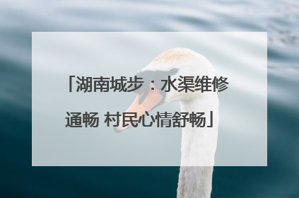 湖南城步：水渠维修通畅 村民心情舒畅