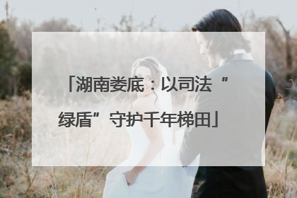 湖南娄底：以司法“绿盾”守护千年梯田