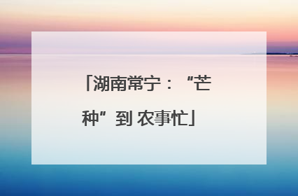 湖南常宁：“芒种”到 农事忙