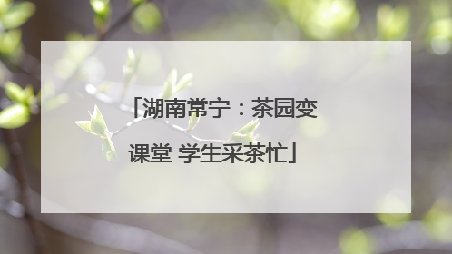 湖南常宁：茶园变课堂 学生采茶忙