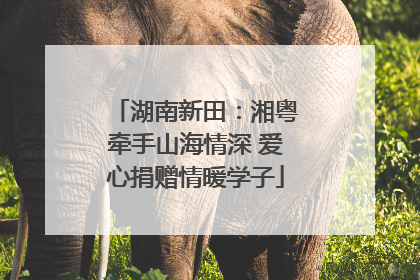 湖南新田：湘粤牵手山海情深 爱心捐赠情暖学子