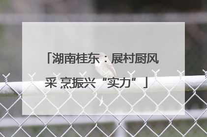 湖南桂东：展村厨风采 烹振兴“实力”