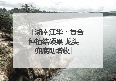 湖南江华：复合种植结硕果 龙头兜底助增收