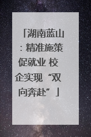 湖南蓝山：精准施策促就业 校企实现“双向奔赴”
