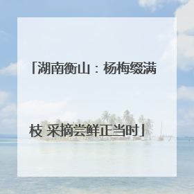 湖南衡山：杨梅缀满枝 采摘尝鲜正当时