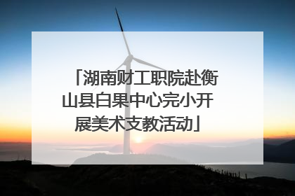 湖南财工职院赴衡山县白果中心完小开展美术支教活动