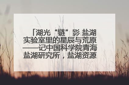湖光“链”影 盐湖实验室里的星辰与荒原——记中国科学院青海盐湖研究所，盐湖资源化学实验室党总支书记、副主任刘忠