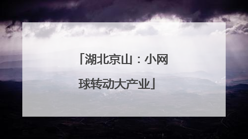 湖北京山：小网球转动大产业