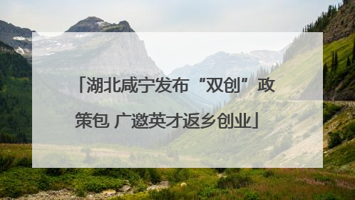 湖北咸宁发布“双创”政策包 广邀英才返乡创业