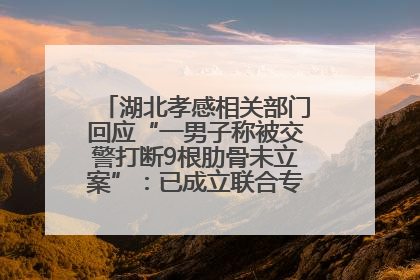 湖北孝感相关部门回应“一男子称被交警打断9根肋骨未立案”：已成立联合专班开展工作