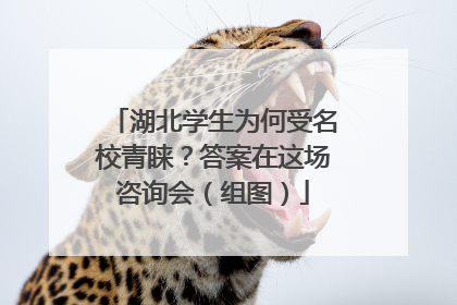 湖北学生为何受名校青睐？答案在这场咨询会（组图）