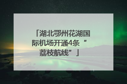 湖北鄂州花湖国际机场开通4条“荔枝航线”