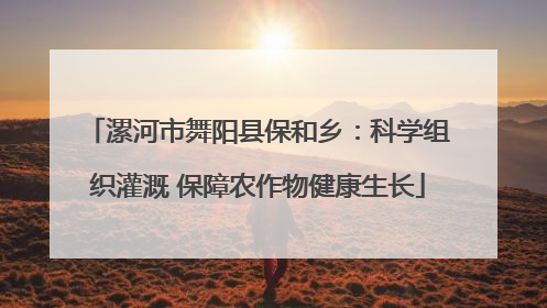 漯河市舞阳县保和乡：科学组织灌溉 保障农作物健康生长