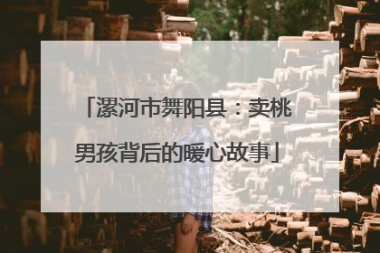 漯河市舞阳县：卖桃男孩背后的暖心故事