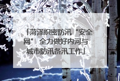 菏泽织密防汛“安全网” 全力做好内河与城市防汛备汛工作