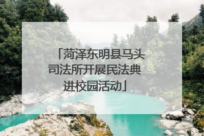 菏泽东明县马头司法所开展民法典进校园活动