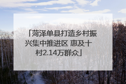 菏泽单县打造乡村振兴集中推进区 惠及十村2.14万群众