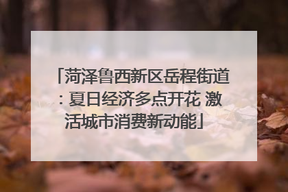 菏泽鲁西新区岳程街道：夏日经济多点开花 激活城市消费新动能