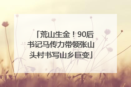 荒山生金！90后书记马传力带领张山头村书写山乡巨变
