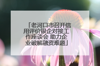 老河口市召开信用评价银企对接工作座谈会 助力企业破解融资难题