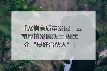 聚焦高质量发展｜云南厚植发展沃土 做民企“最好合伙人”