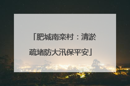 肥城南栾村：清淤疏堵防大汛保平安