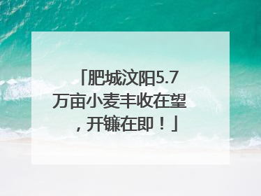 肥城汶阳5.7万亩小麦丰收在望，开镰在即！