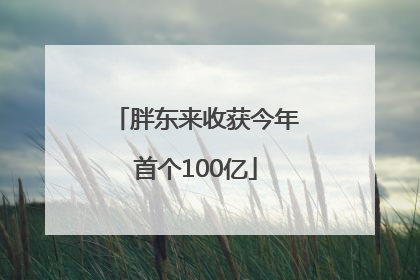 胖东来收获今年首个100亿