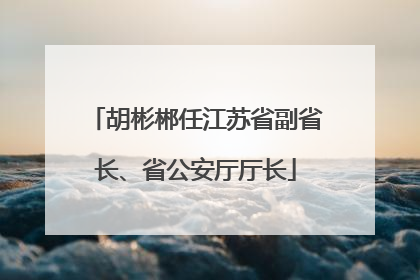 胡彬郴任江苏省副省长、省公安厅厅长