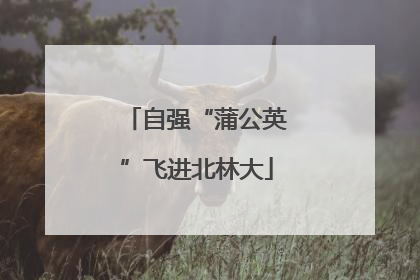 自强“蒲公英”飞进北林大
