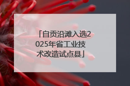 自贡沿滩入选2025年省工业技术改造试点县
