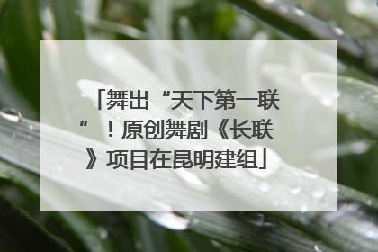 舞出“天下第一联”！原创舞剧《长联》项目在昆明建组