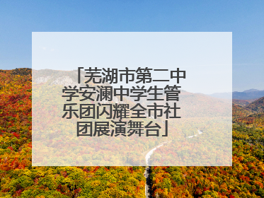 芜湖市第二中学安澜中学生管乐团闪耀全市社团展演舞台