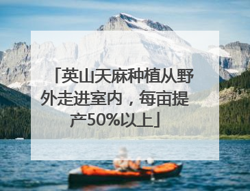 英山天麻种植从野外走进室内，每亩提产50%以上
