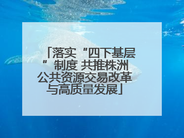 落实“四下基层”制度 共推株洲公共资源交易改革与高质量发展