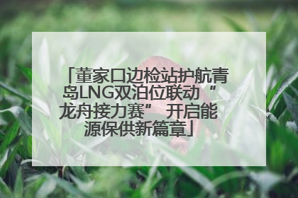 董家口边检站护航青岛LNG双泊位联动“龙舟接力赛” 开启能源保供新篇章
