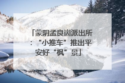 蒙阴孟良崮派出所：“小推车”推出平安好“枫”景