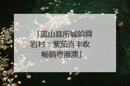 蓝山县所城镇舜岩村：紫茄喜丰收 畅销粤港澳