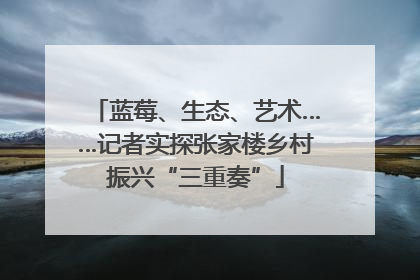 蓝莓、生态、艺术……记者实探张家楼乡村振兴“三重奏”