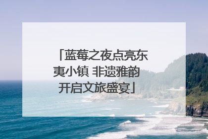 蓝莓之夜点亮东夷小镇 非遗雅韵开启文旅盛宴