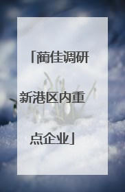 蔺佳调研新港区内重点企业