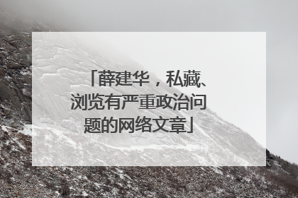 薛建华，私藏、浏览有严重政治问题的网络文章