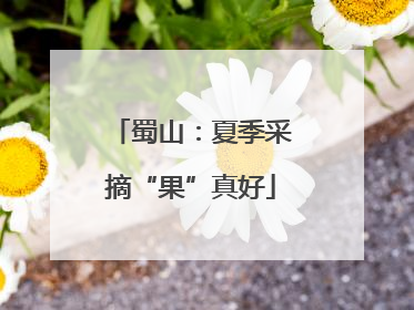 蜀山：夏季采摘“果”真好