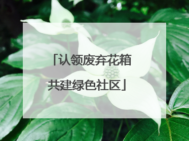 认领废弃花箱 共建绿色社区